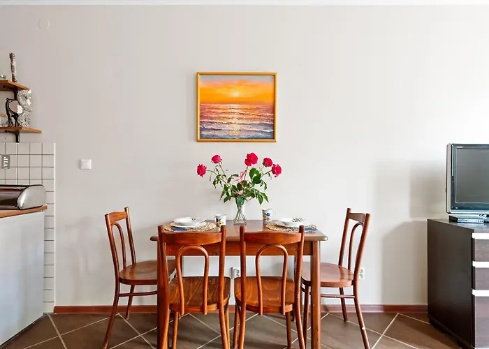 Apartment Holiapart In Gdanska 52 - Winda, Przyjazny Czworonogom Krynica Morska